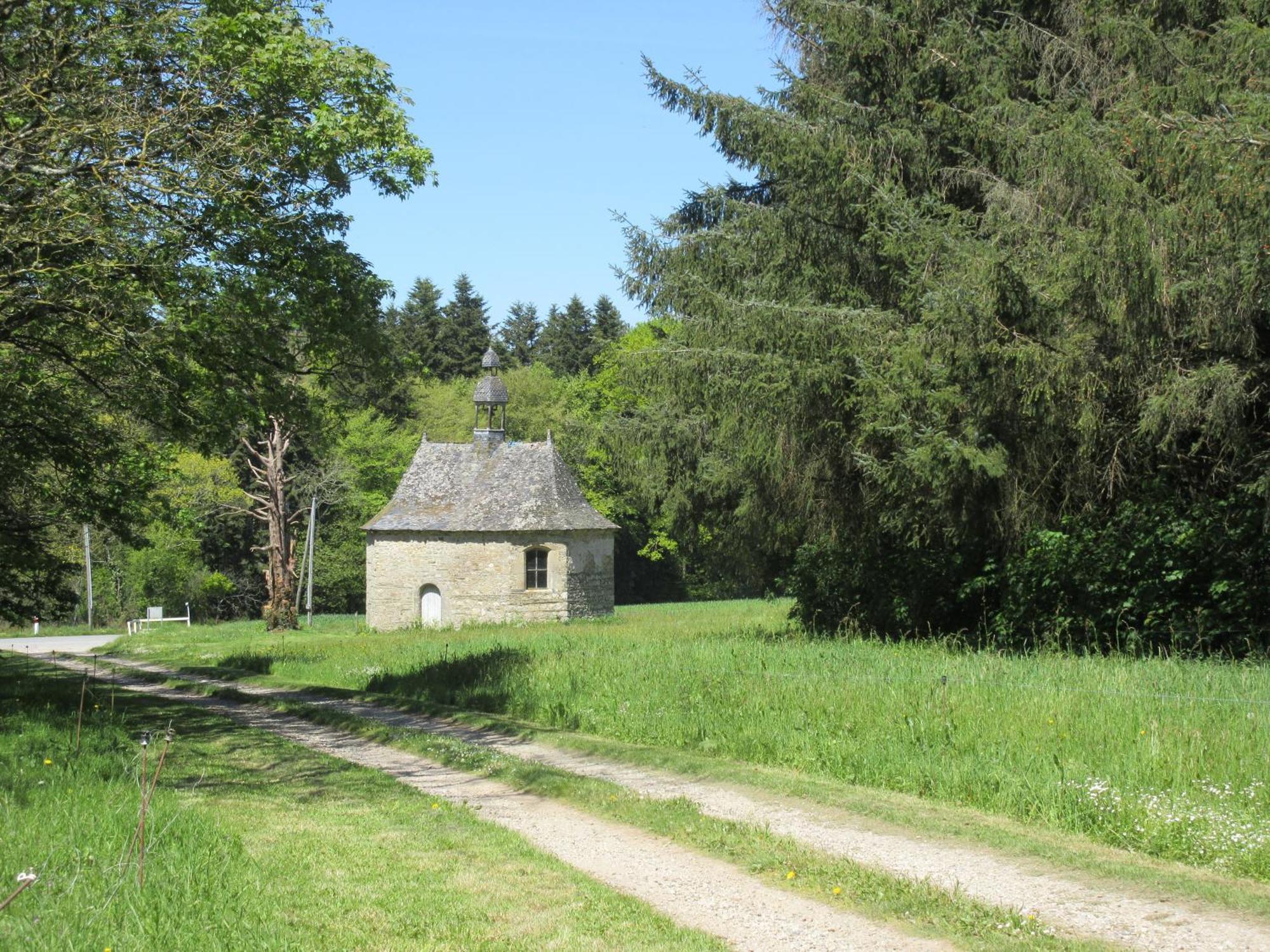 Bed and Breakfast Chateau De Craon Comblessac Экстерьер фото